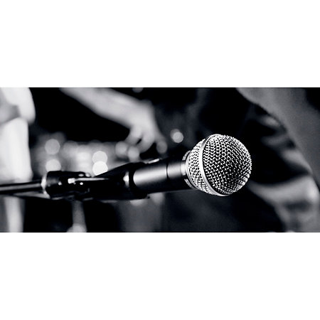 Pack SM58 + Câble + Pied Shure
