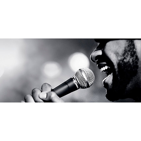 Pack SM58 + Câble + Pied Shure