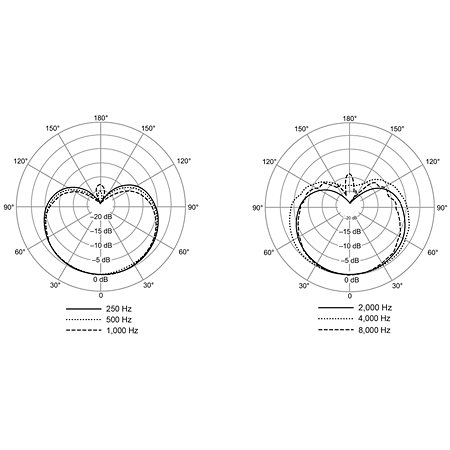 RPW202 Shure