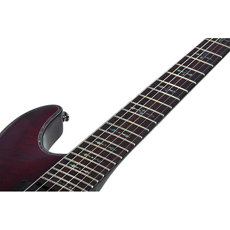 Hellraiser C-1 Floyd Black Cherry LH Schecter