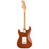 American Performer Timber Sassafras Stratocaster LTD RW Mocha + housse Fender