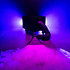HeavyFog 3000-P Evolite