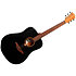 Tramontane T70D-BLS Dreadnought Black Satin LAG