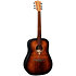 Tramontane T70D-BnB Dreadnought Black and Brown LAG