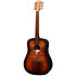 Tramontane T70D-BnB Dreadnought Black and Brown LAG