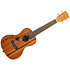 KA-15 Concert Mahogany motif Hawaiian island et tattoo + housse Kala