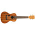 KA-15 Concert Mahogany motif Hawaiian island et tattoo + housse Kala