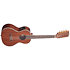 KA-8 Gloss Mahogany Tenor 8 cordes électro-acoustique Kala