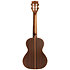 Solid Cedar Top Pau Ferro Tenor Kala