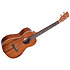 Satin Mahogany Baritone + housse Kala