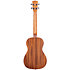 Satin Mahogany Baritone + housse Kala