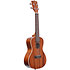 Satin Mahogany Concert + housse Kala