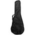 Satin Mahogany Concert + housse Kala