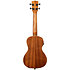 Satin Mahogany Concert électro-acoustique Kala