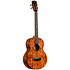 Contour All Solid Gloss Acacia Baritone + housse Kala