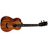 Contour collection Solid Gloss Mahogany Tenor + housse Kala