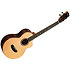 Contour collection Solid Gloss Spruce Rosewood Baritone Cutaway + housse Kala