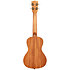 Maori Gardenia Mahogany Concert + housse Kala