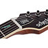 Avenger Exotic Natural Satin Ziricote Schecter