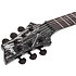 C-1 Silver Mountain LH Schecter