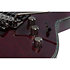 Hellraiser C-1 Floyd Black Cherry LH Schecter