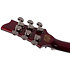 Hellraiser C-1 Floyd Black Cherry LH Schecter