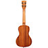 Maori Hibiscus Mahogany Concert + housse Kala