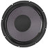 Patriot Ragin Cajun-16 10" Guitar Speaker Eminence