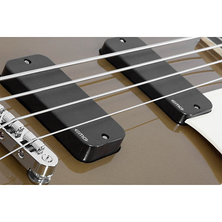 Corsair Bass Gold Schecter