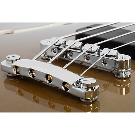 Corsair Bass Gold Schecter