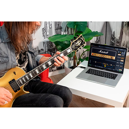 IK Multimédia AXE I/O + AMPLITUBE 5 MAX BUNDLE