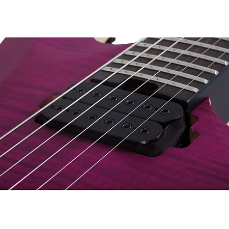 John Browne Tao-6 Satin Trans Purple Schecter