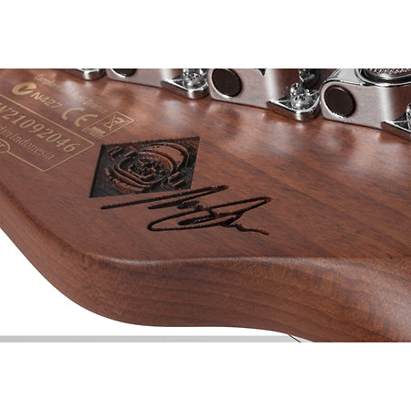 Nick Johnston Signature PT Atomic Ink Schecter