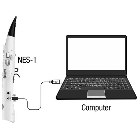 NES-1 White NUX