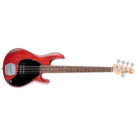 StingRay RAY5 Walnut Satin Sterling by Music Man