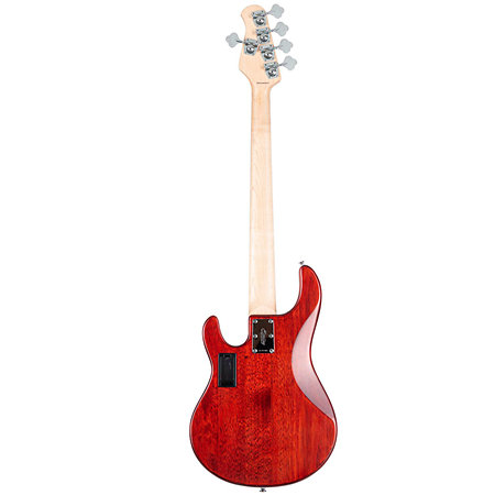 StingRay RAY5 Walnut Satin Sterling by Music Man