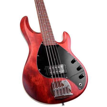 StingRay RAY5 Walnut Satin Sterling by Music Man