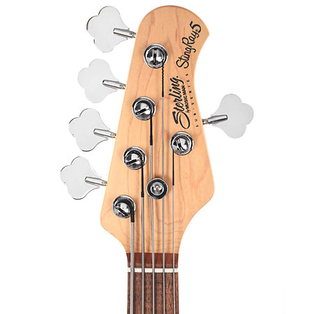 StingRay RAY5 Walnut Satin Sterling by Music Man
