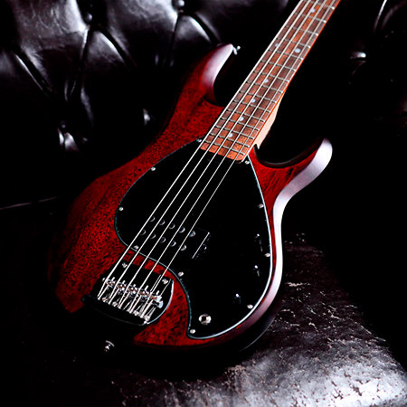 StingRay RAY5 Walnut Satin Sterling by Music Man