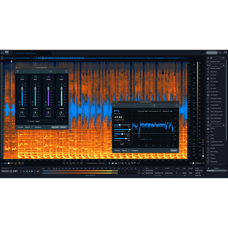 RX 11 Standard Upg RX Std/Adv/PPS (licence) Izotope