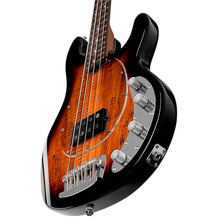 StingRay RAY34 Spalted Maple Top Sunburst Sterling by Music Man