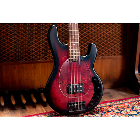 StingRay RAY34 Poplar Burl Dark Scarlet Burst Satin Sterling by Music Man