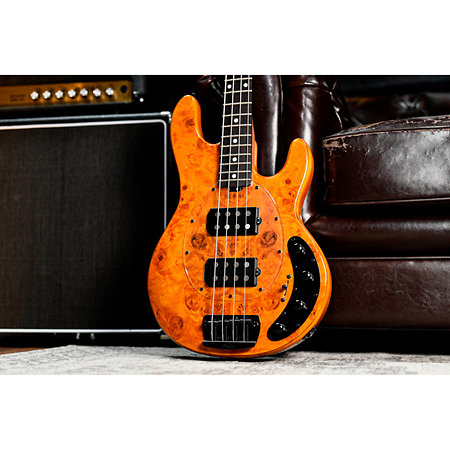 StingRay RAY34HH Poplar Burl Amber Sterling by Music Man