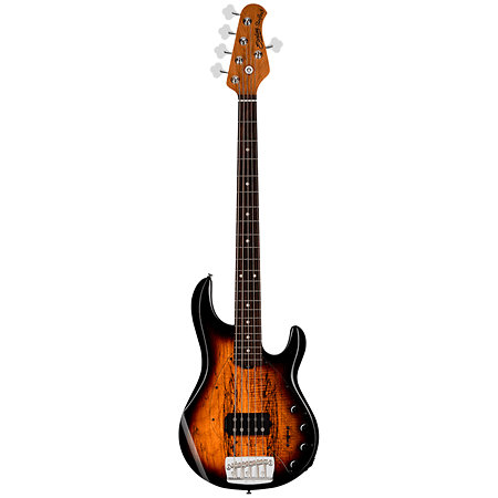 StingRay RAY35 Spalted Maple Sunburst Sterling by Music Man