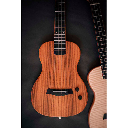 Solid body Acacia Tenor + housse Kala