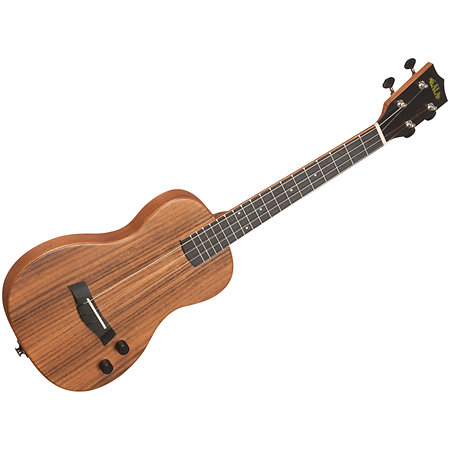 Solid body Acacia Tenor + housse Kala