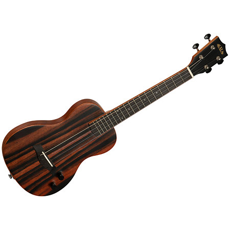 Solid body Striped Ebony Tenor + housse Kala