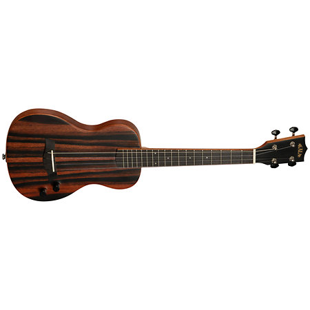Solid body Striped Ebony Tenor + housse Kala