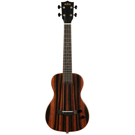 Solid body Striped Ebony Tenor + housse Kala