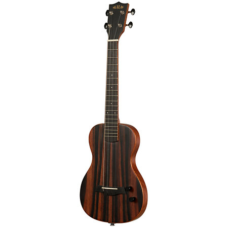 Solid body Striped Ebony Tenor + housse Kala